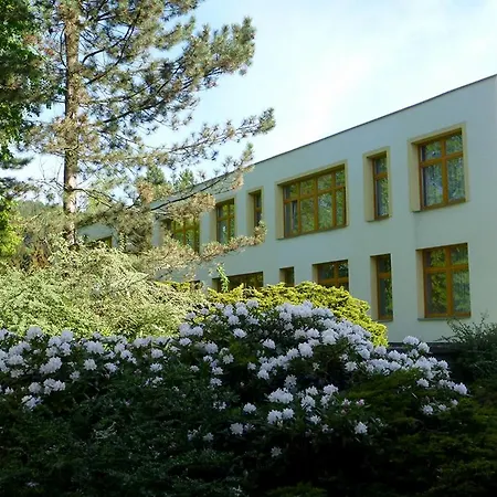 Fit Velké Losiny